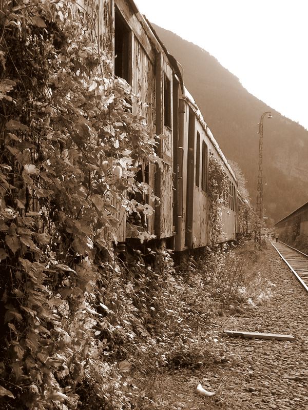 Estacion de Canfranc(Francia)