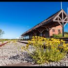 Estacion de tren abandonada