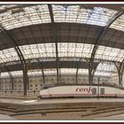 ESTACION TRENES "FRANCIA" BARCELONA.