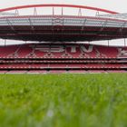 Estádio da Luz