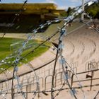 Estadio Mendoza