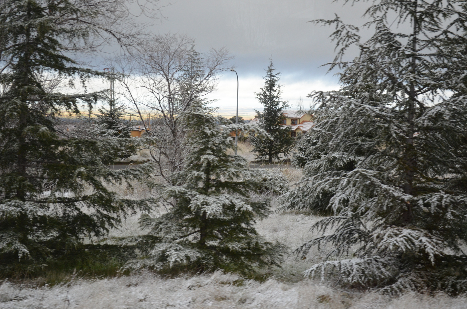 estampa de invierno