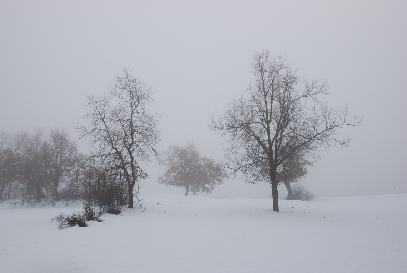 ESTAMPA INVERNAL