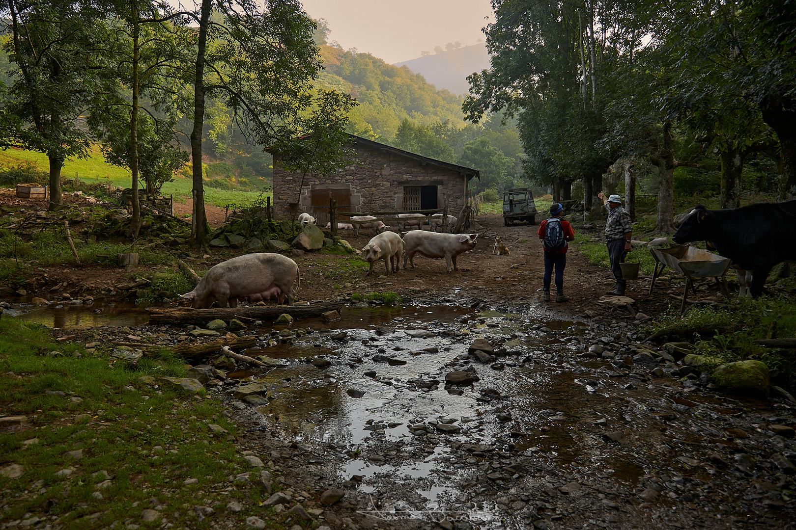 Estampa rural