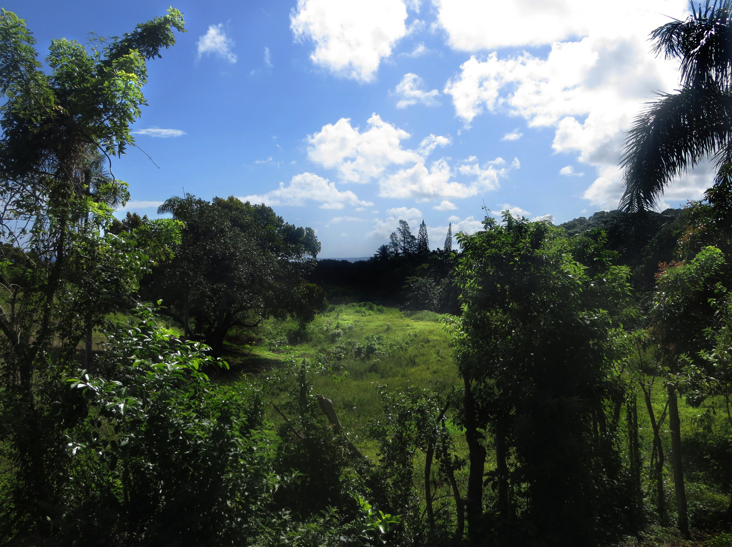 Estancia de Torre Alta