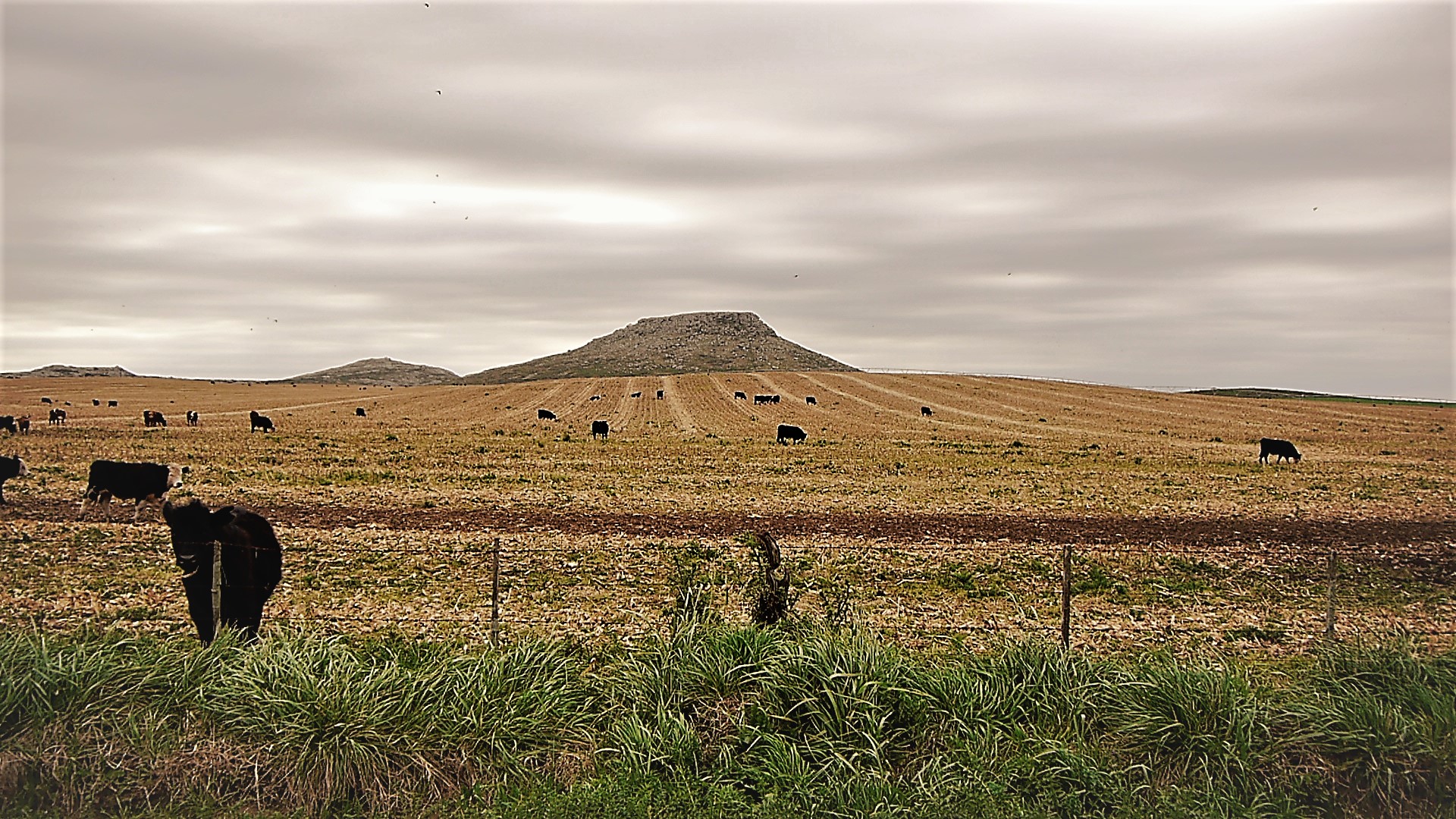 ESTANCIA EL BONETE