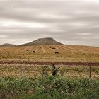 ESTANCIA EL BONETE