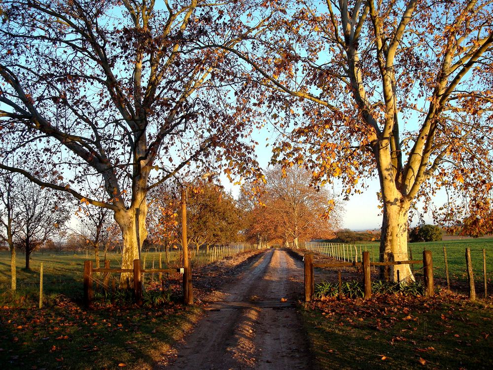 Estancia en Uruguay