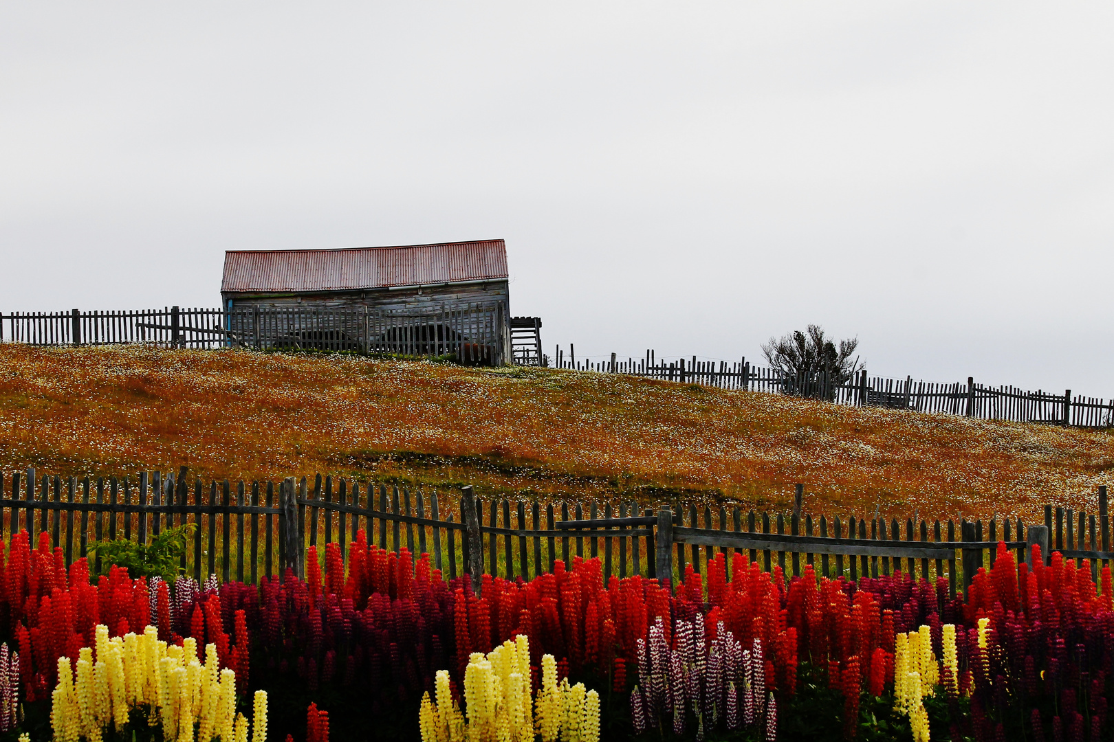 Estancia Fueguina