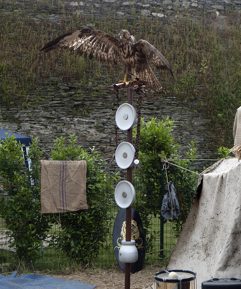 Estandarte Aguila imperial romana, en el campamento.