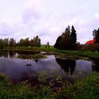 ESTANQUE DEL PARQUE NACIONAL DEL VALLE DE GAUJA. ( ESTONIA ).