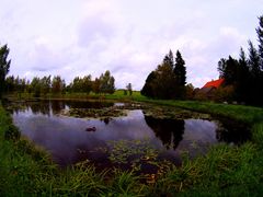 ESTANQUE DEL PARQUE NACIONAL DEL VALLE DE GAUJA. ( ESTONIA ).