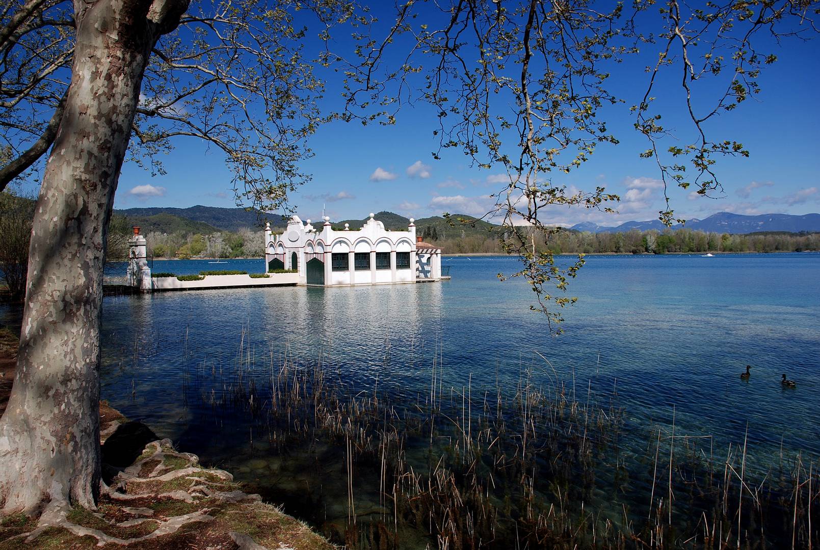 ESTANY DE BANYOLES