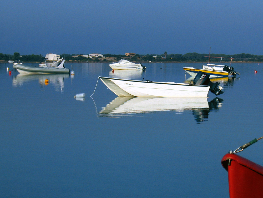 Estany des Peix, Formentera II