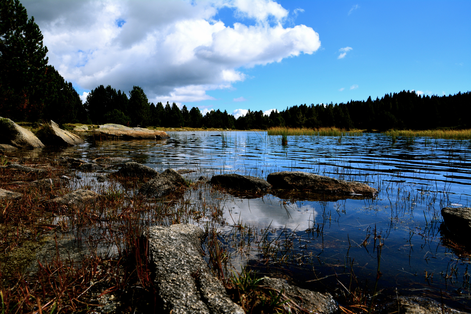 Estany Noir