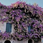 estate a Sirmione