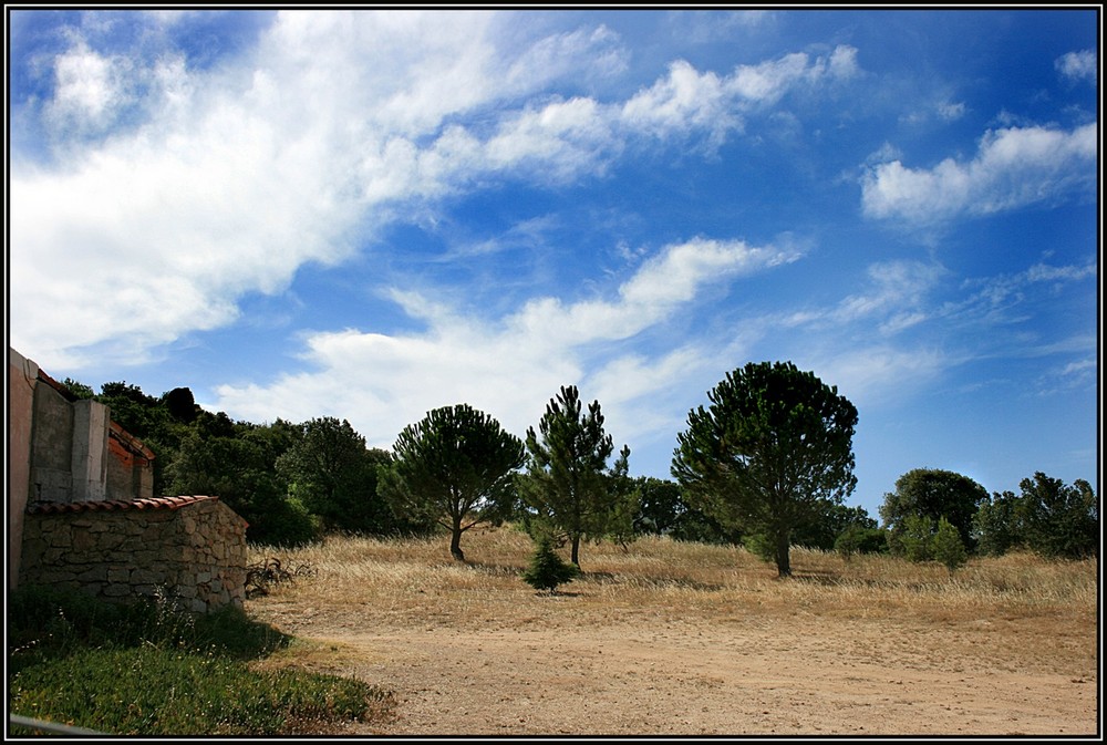 Estate in campagna