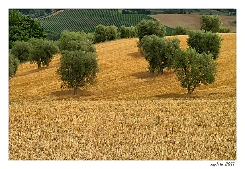 Estate in collina