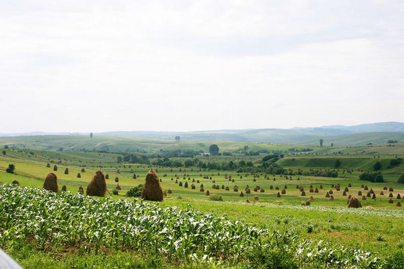 Estate in Romania