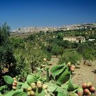 ESTATE IN SICILIA