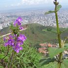 Este é o meu belo horizonte