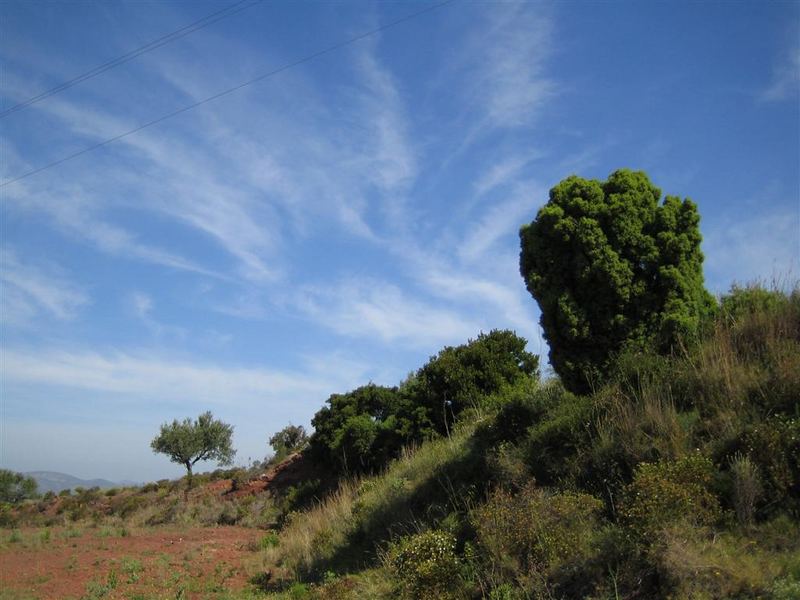 Estelas en el cielo