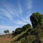 Estelas en el cielo