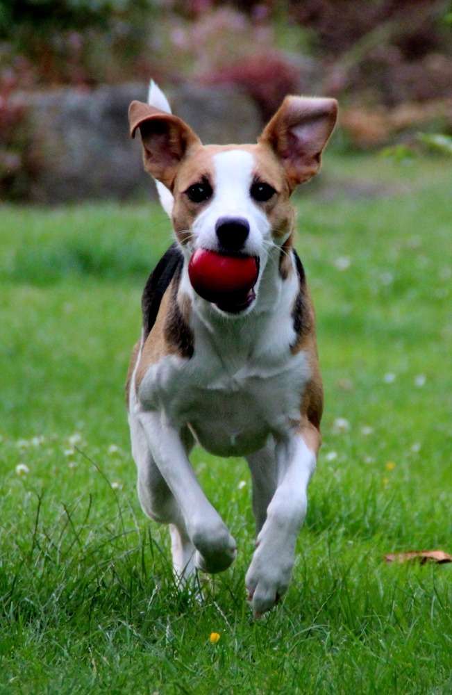 Estelle aus Spanien