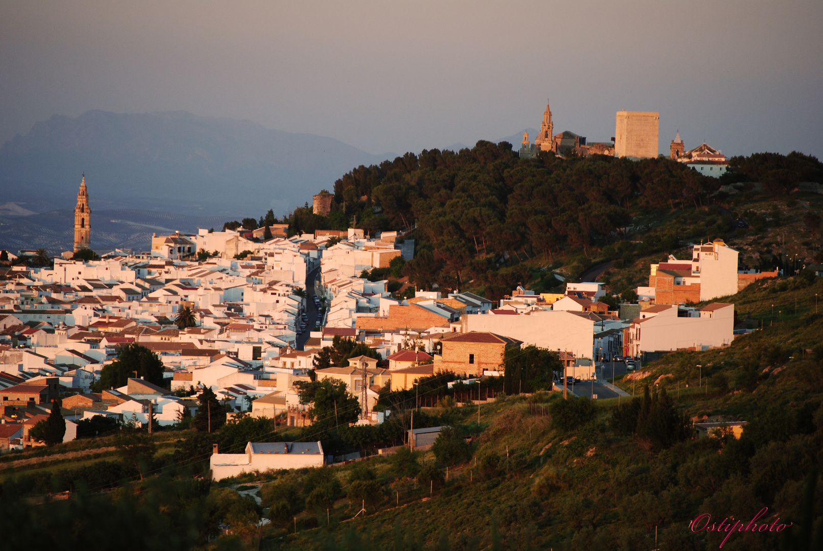 ESTEPA (Atardecer)