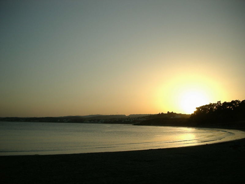 Estepona (Málaga)