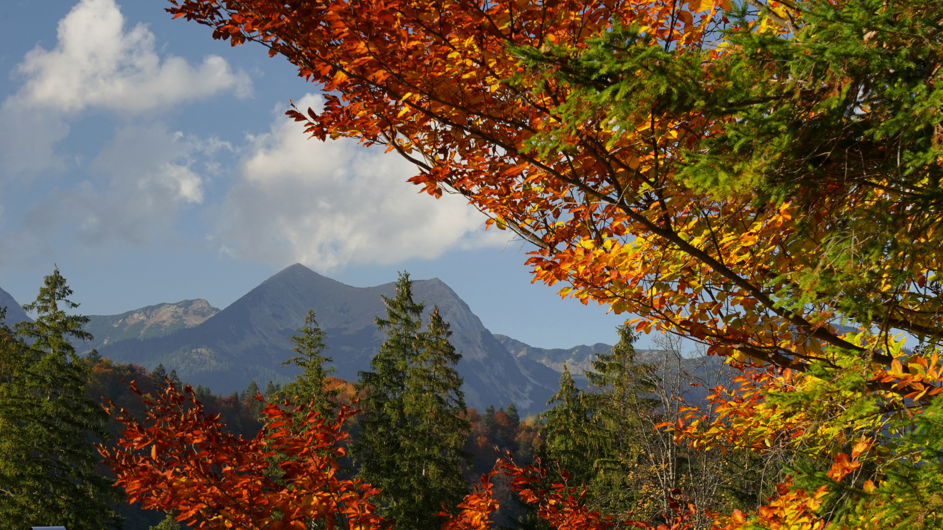 Estergebirge  herbstlich gerahmt