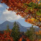 Estergebirge  herbstlich gerahmt