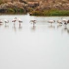 Esteros de Chiclana