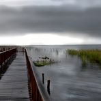 Esteros del ibera, Corrientes. AR