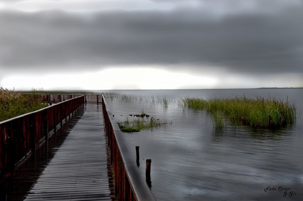 Esteros del ibera, Corrientes. AR