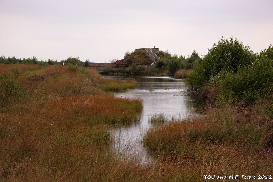 Esterwegener Moorpfad Nord