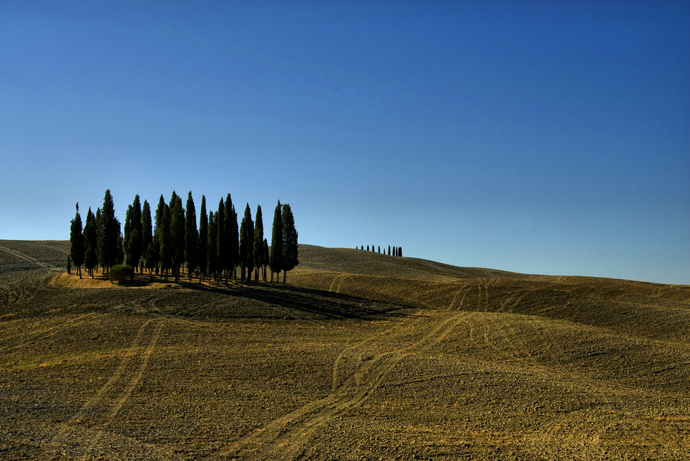 Estetica in val d'Orcia