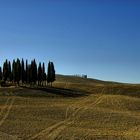 Estetica in val d'Orcia