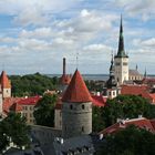 Estland: Blick auf Tallin 1