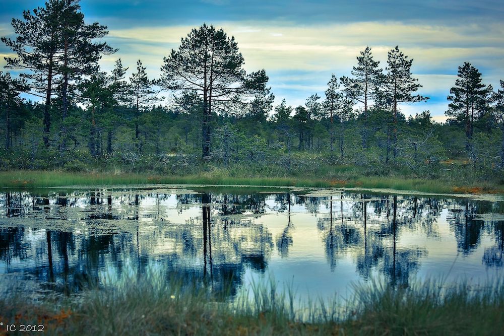 Estlands Moorlandschaft