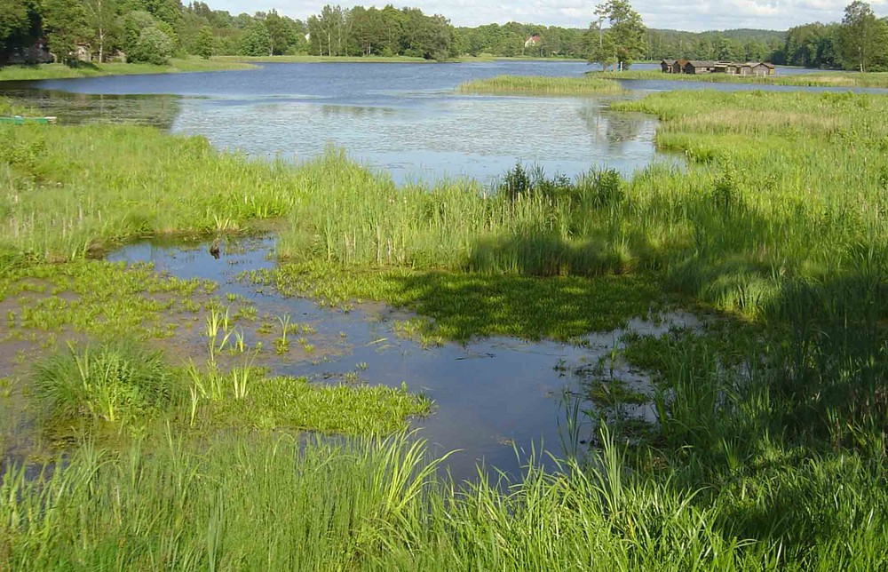 Estnische Landschaft