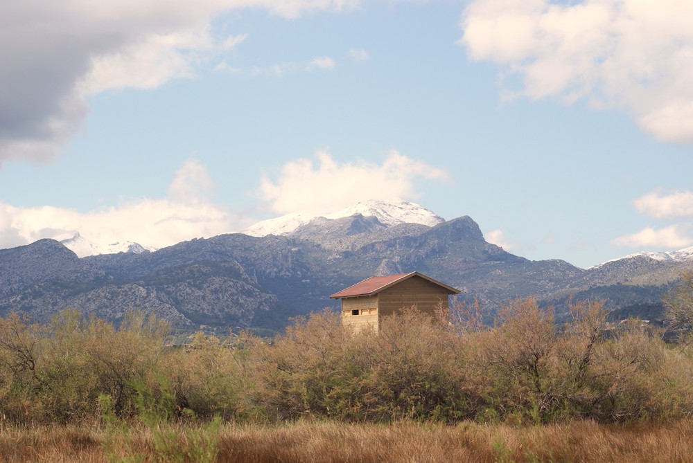 esto es Mallorca.....