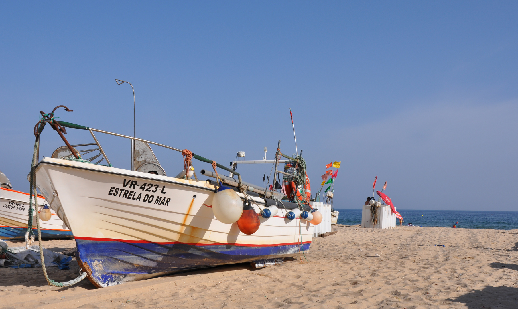 Estrela do Mar