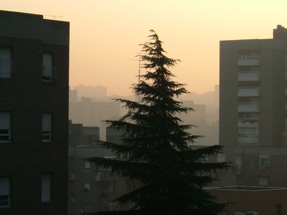 Estrella, Madrid