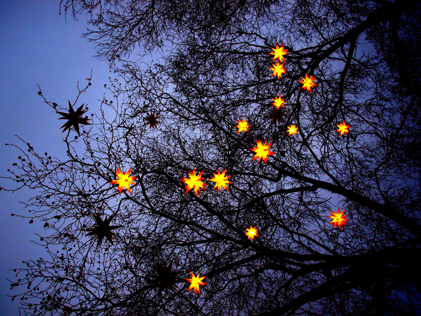 - estrellas -