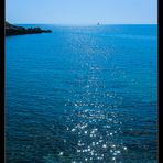 Estrellas en el mar