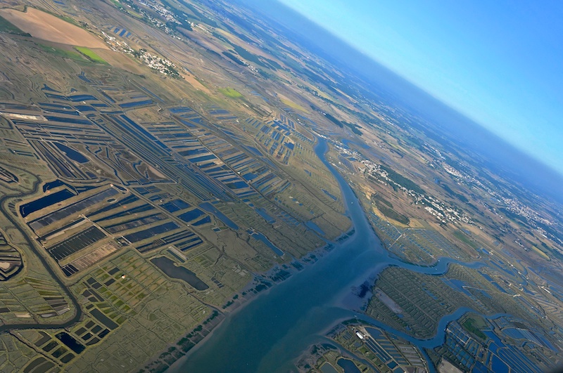 Estuaire de la Charente - Marennes d'Oléron