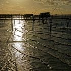 Estuaire de la Loire