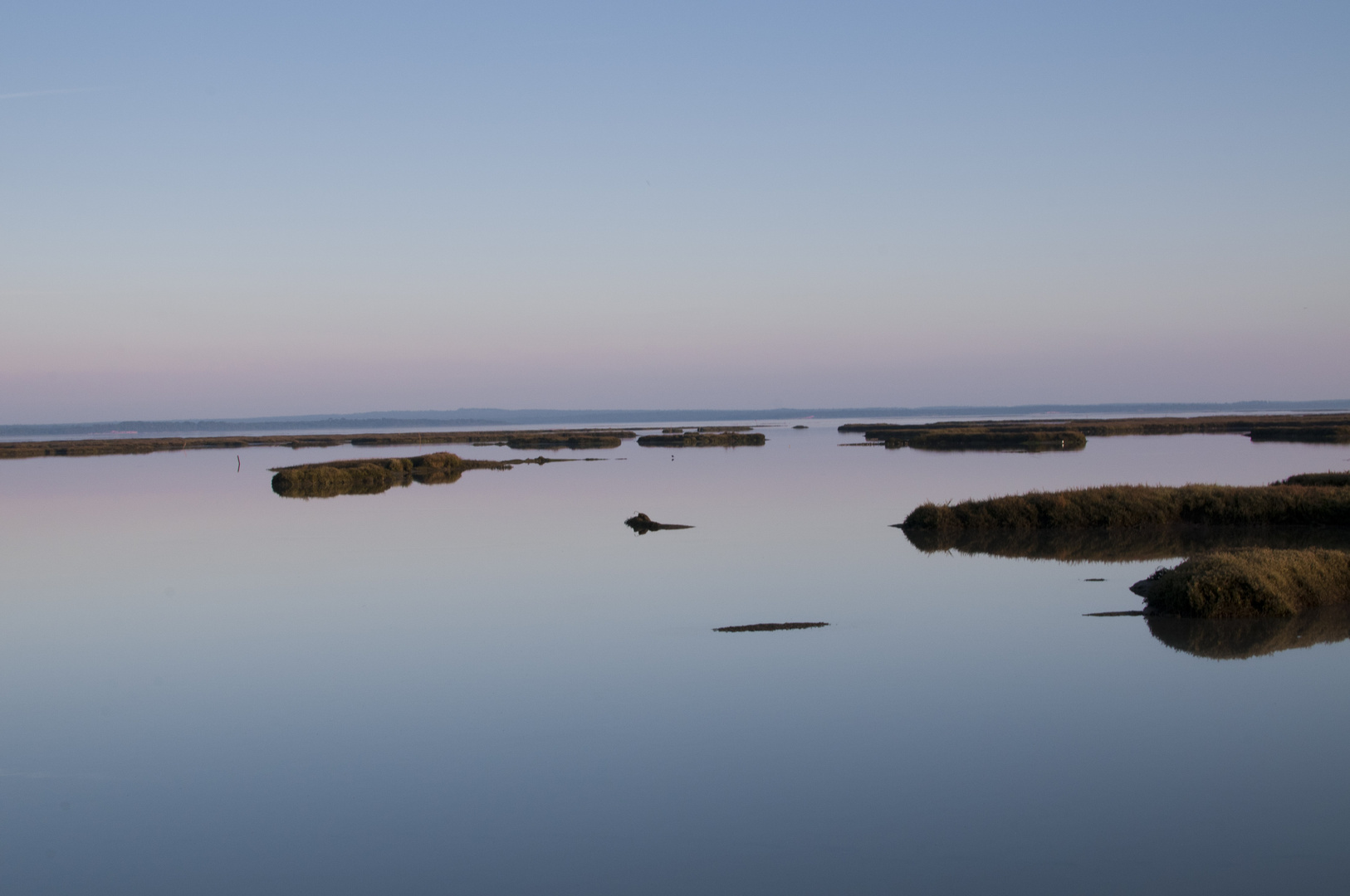 Estuario do Sado