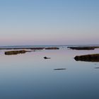 Estuario do Sado